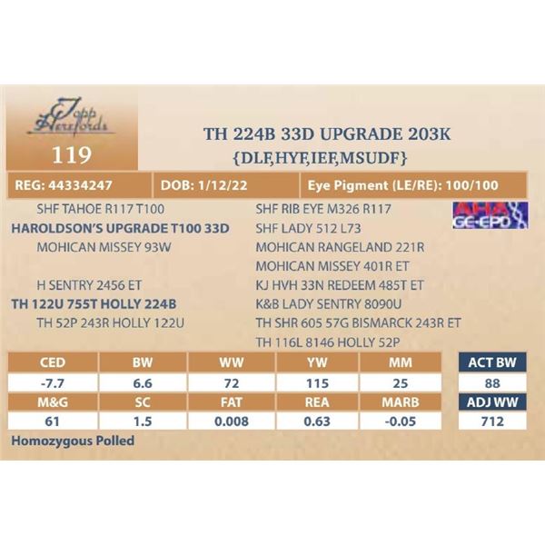 TH 224B 33D UPGRADE 203K