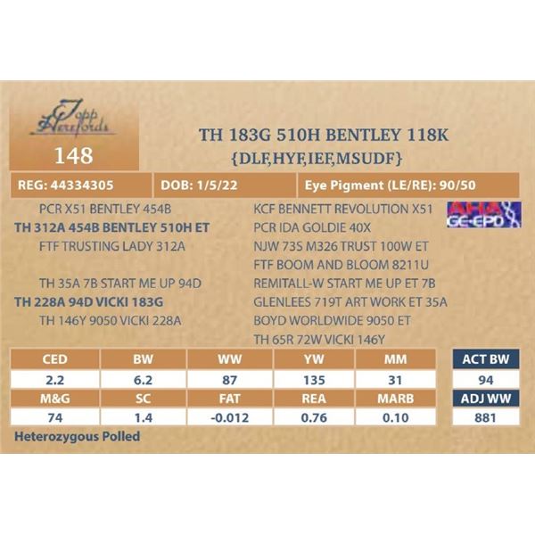 TH 183G 510H BENTLEY 118K