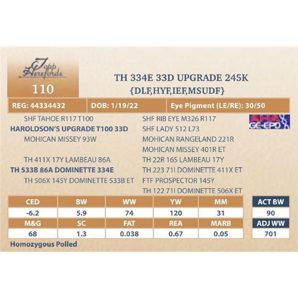 TH 334E 33D UPGRADE 245K