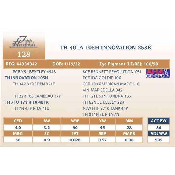 TH 401A 105H INNOVATION 253K