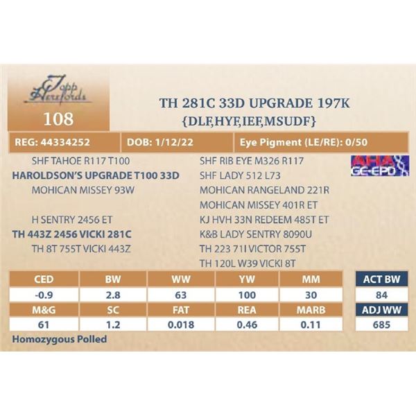 TH 281C 33D UPGRADE 197K