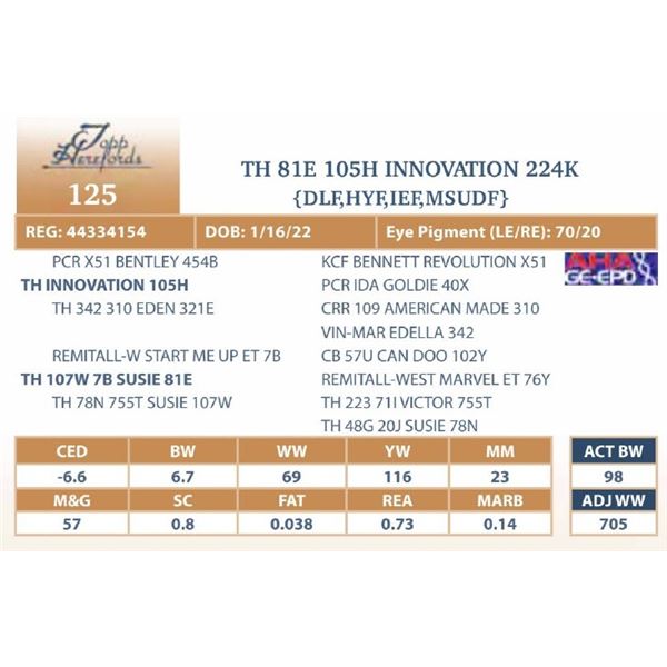 TH 81E 105H INNOVATION 224K