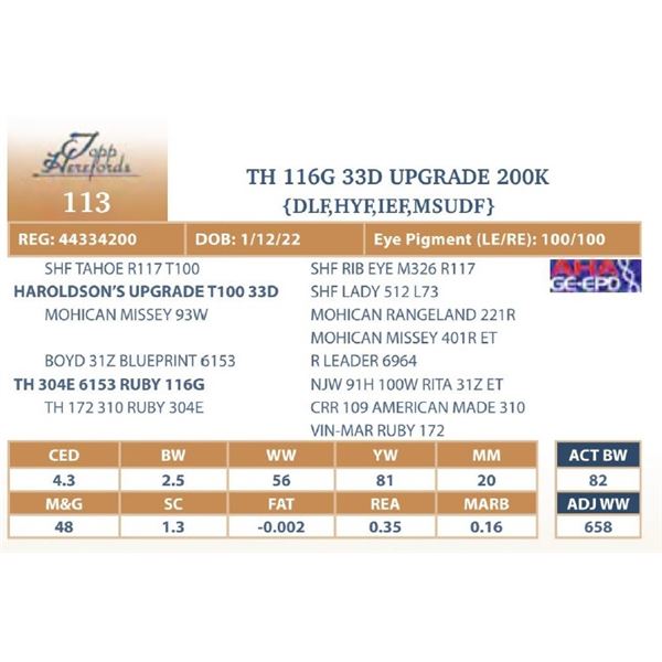 TH 116G 33D UPGRADE 200K