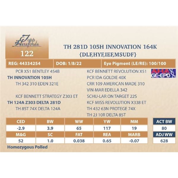 TH 281D 105H INNOVATION 164K