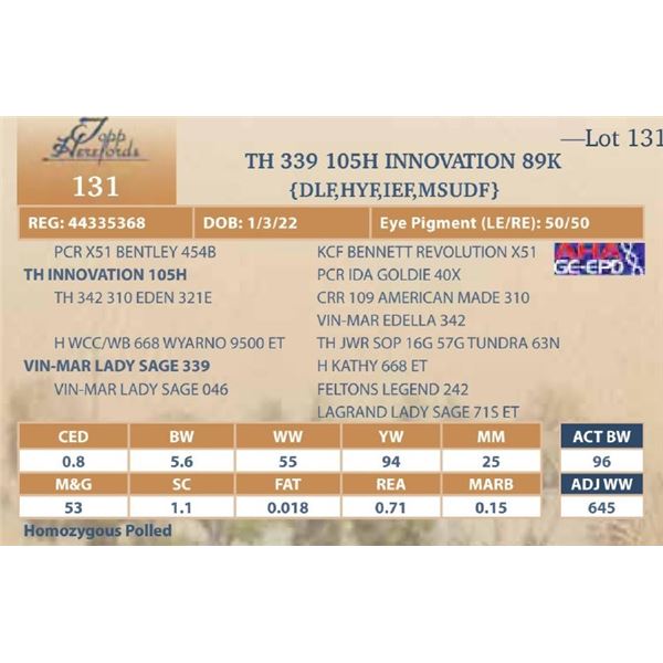 TH 339 105H INNOVATION 89K