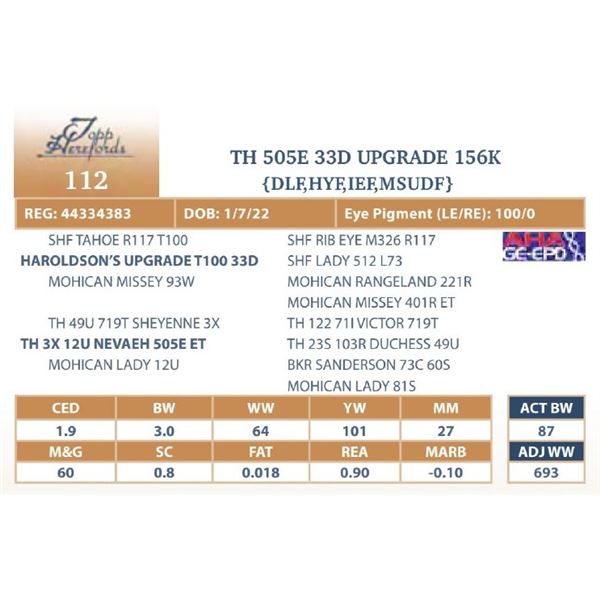 TH 505E 33D UPGRADE 156K