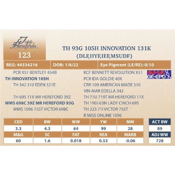 TH 93G 105H INNOVATION 131K