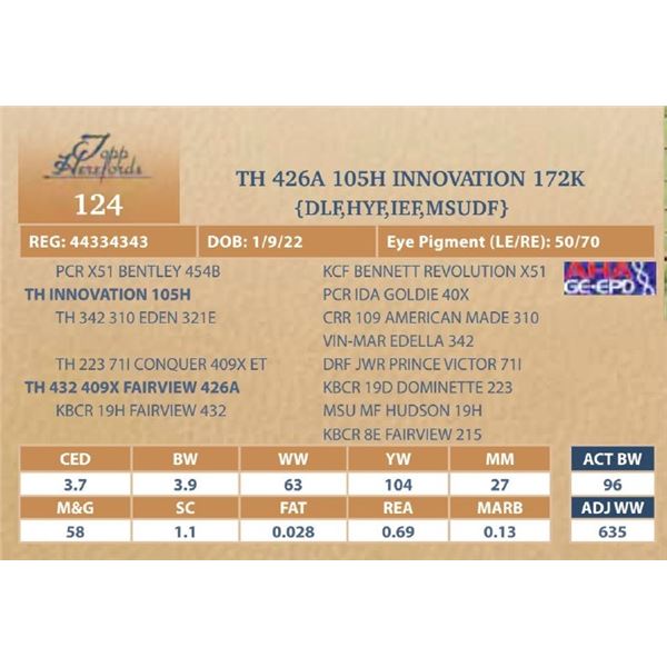 TH 426A 105H INNOVATION 172K