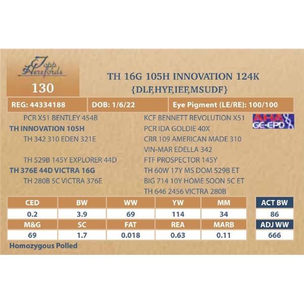 TH 16G 105H INNOVATION 124K
