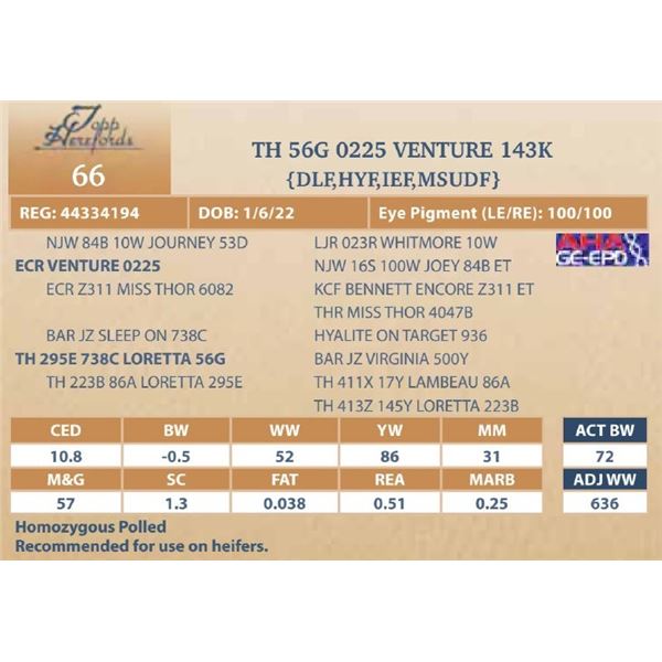 TH 56G 0225 VENTURE 143K