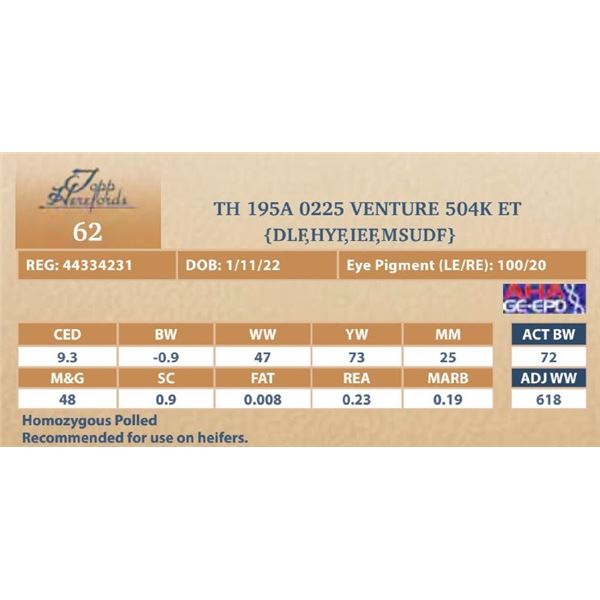 TH 195A 0225 VENTURE 504K ET