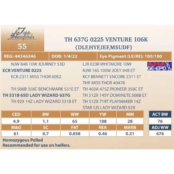 TH 637G 0225 VENTURE 106K