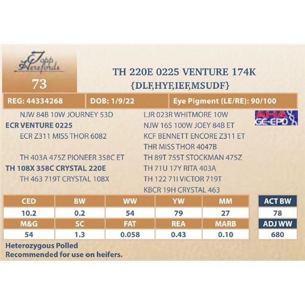 TH 220E 0225 VENTURE 174K