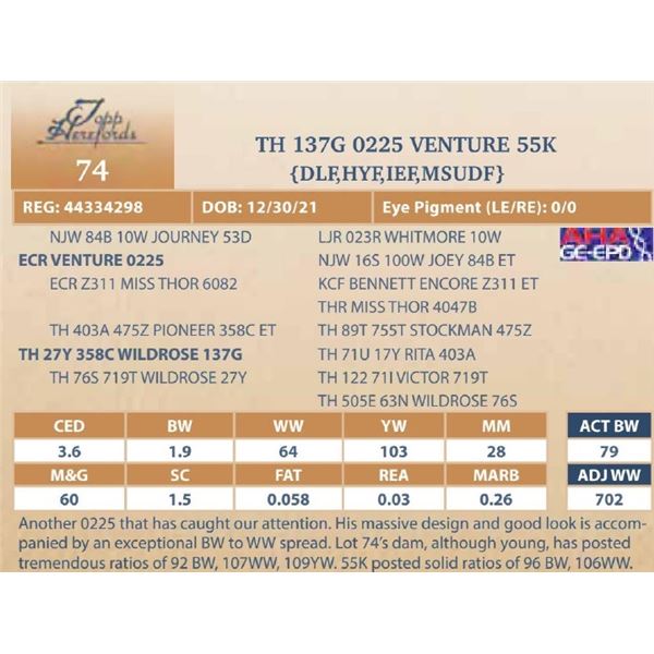 TH 137G 0225 VENTURE 55K