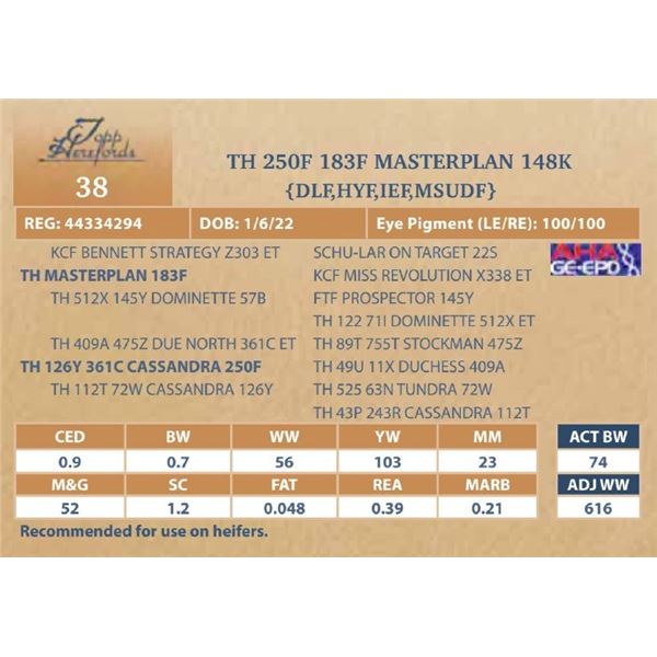TH 250F 183F MASTERPLAN 148K