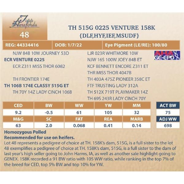 TH 515G 0225 VENTURE 158K