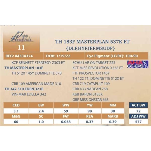 TH 183F MASTERPLAN 537K ET