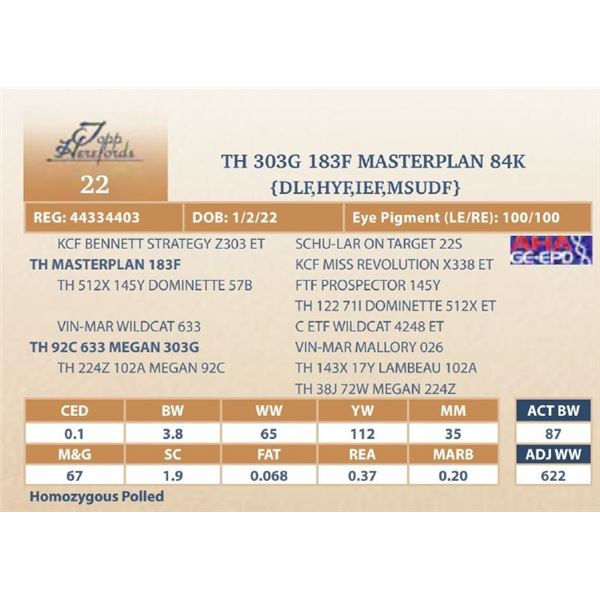 TH 303G 183F MASTERPLAN 84K