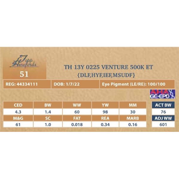 TH 13Y 0225 VENTURE 500K ET