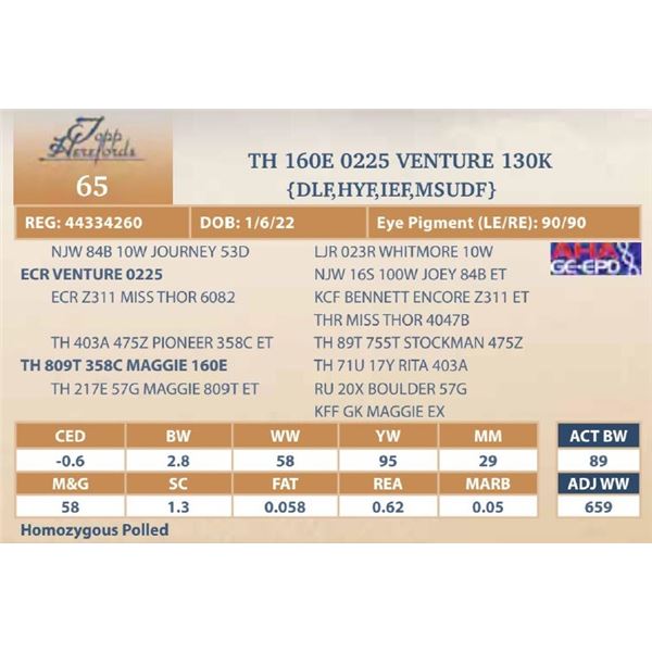 TH 160E 0225 VENTURE 130K