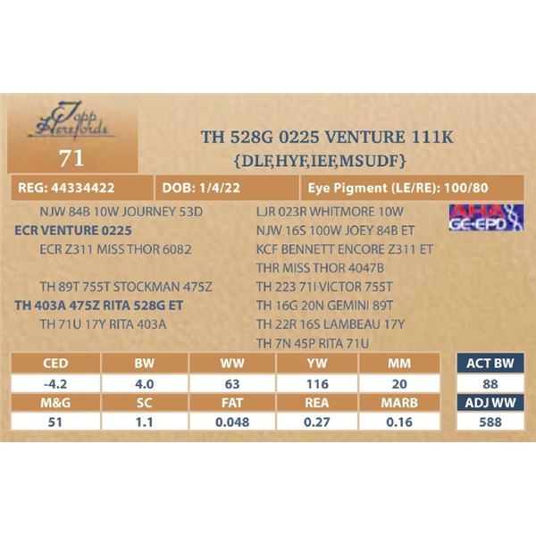 TH 528G 0225 VENTURE 111K