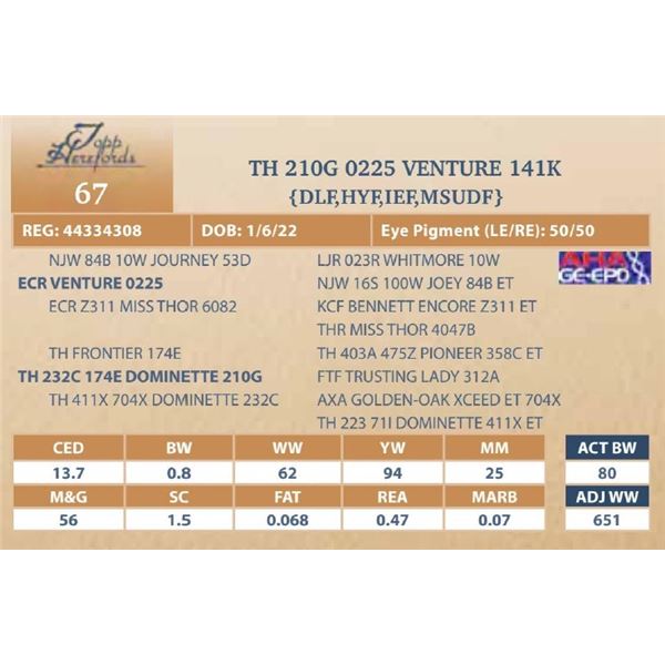 TH 210G 0225 VENTURE 141K