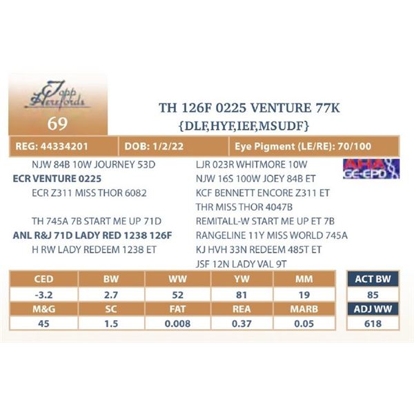 TH 126F 0225 VENTURE 77K