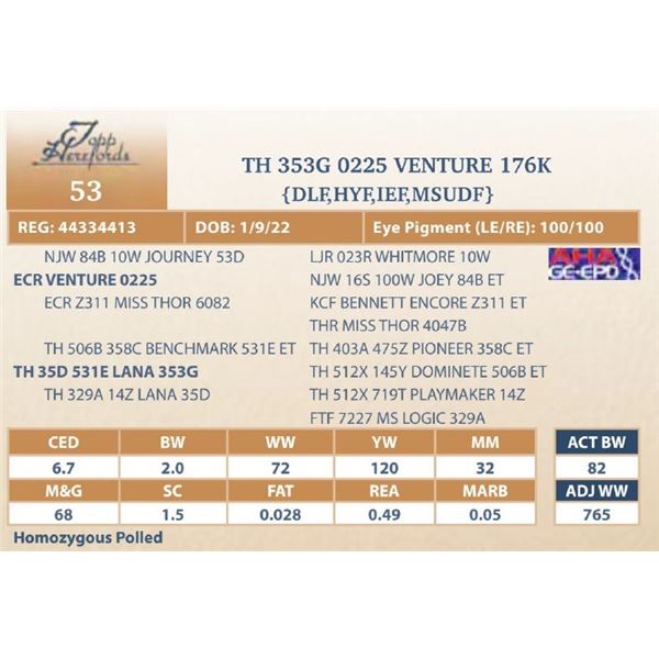 TH 353G 0225 VENTURE 176K