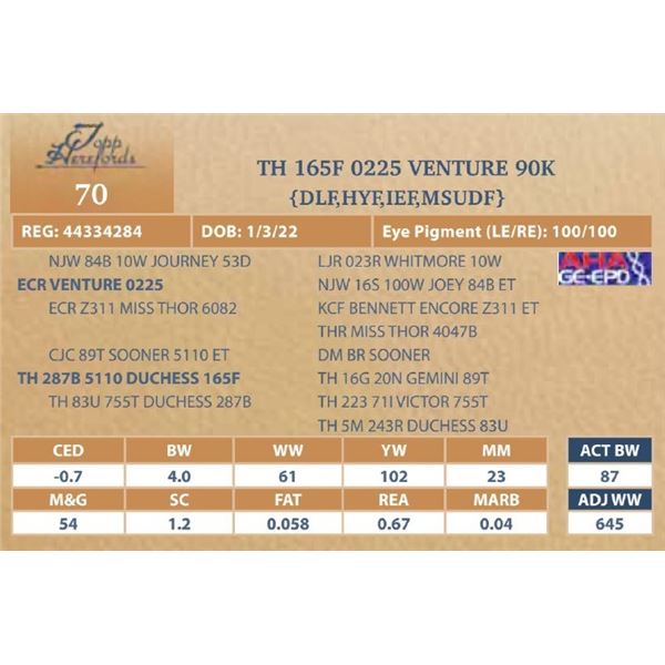 TH 165F 0225 VENTURE 90K