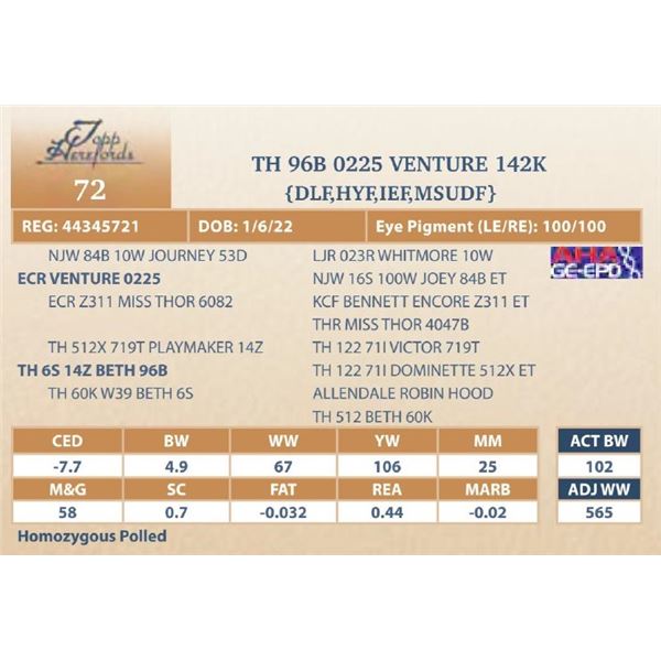 TH 96B 0225 VENTURE 142K