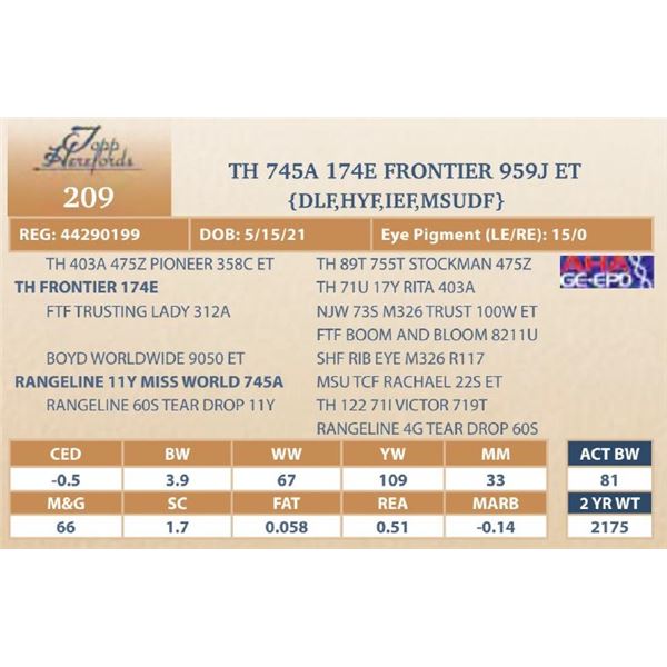 TH 745A 174E FRONTIER 959J ET