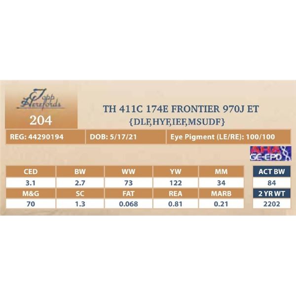 TH 411C 174E FRONTIER 970J ET