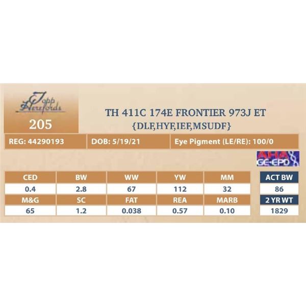 TH 411C 174E FRONTIER 973J ET