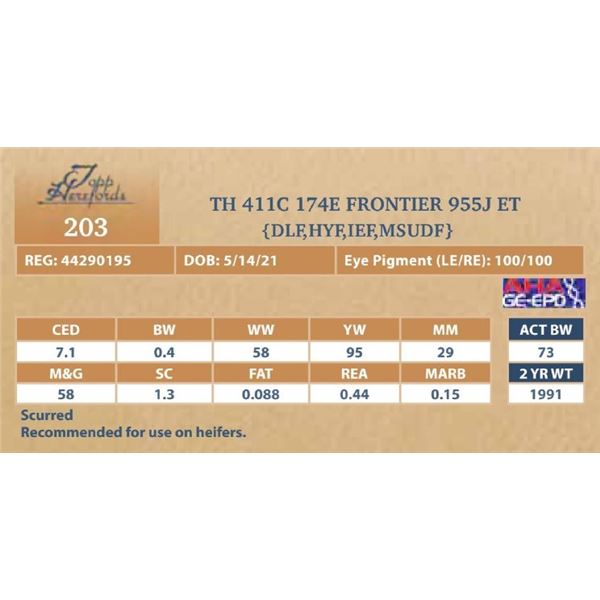 TH 411C 174E FRONTIER 955J ET