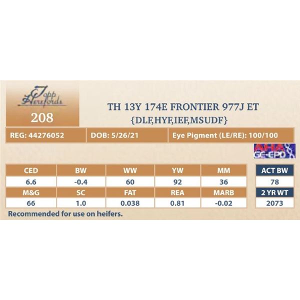 TH 13Y 174E FRONTIER 977J ET