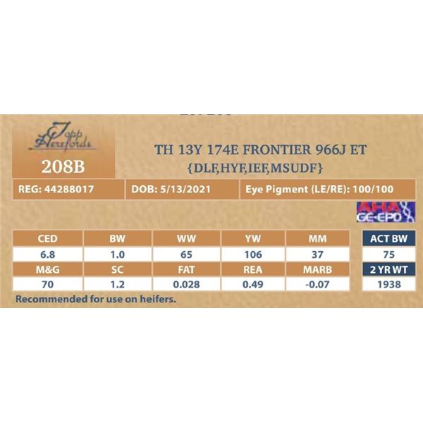 TH 198Z 49B EL DORADO 966J ET