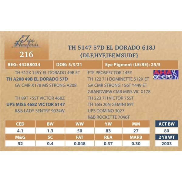 TH 5147 57D EL DORADO 618J