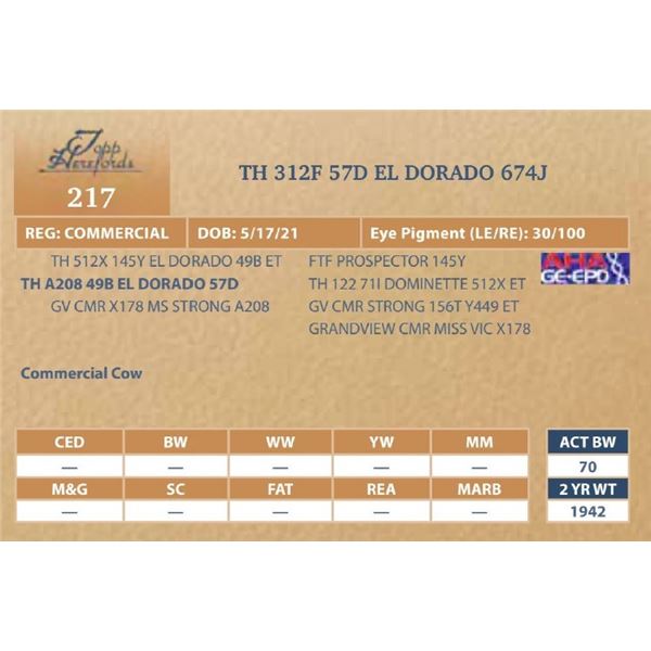 TH 312F 57D EL DORADO 674J