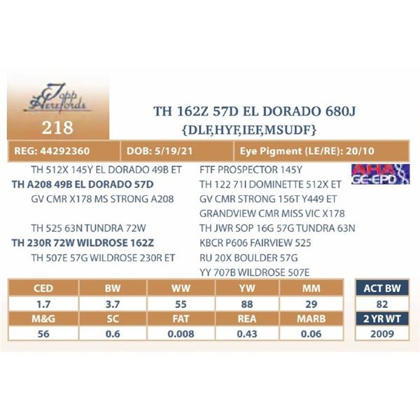 TH 162Z 57D EL DORADO 680J