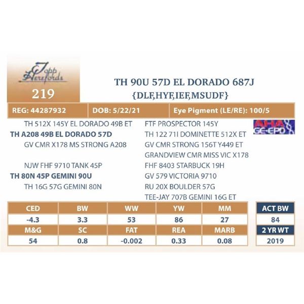 TH 90U 57D EL DORADO 687J