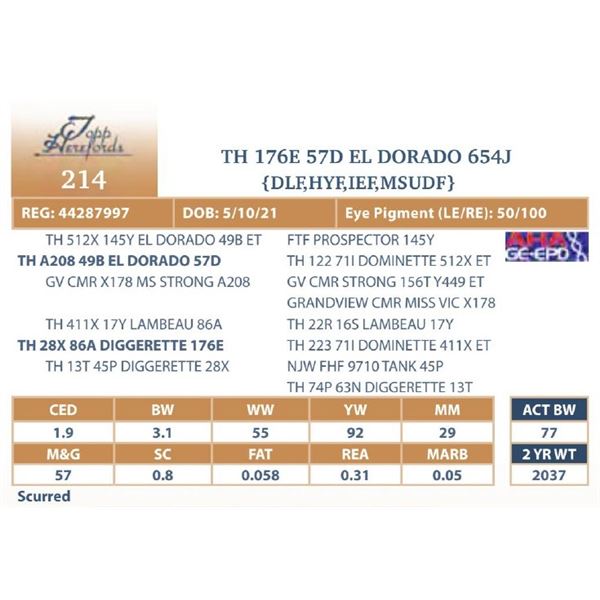 TH 176E 57D EL DORADO 654J