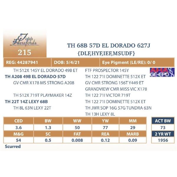 TH 68B 57D EL DORADO 627J