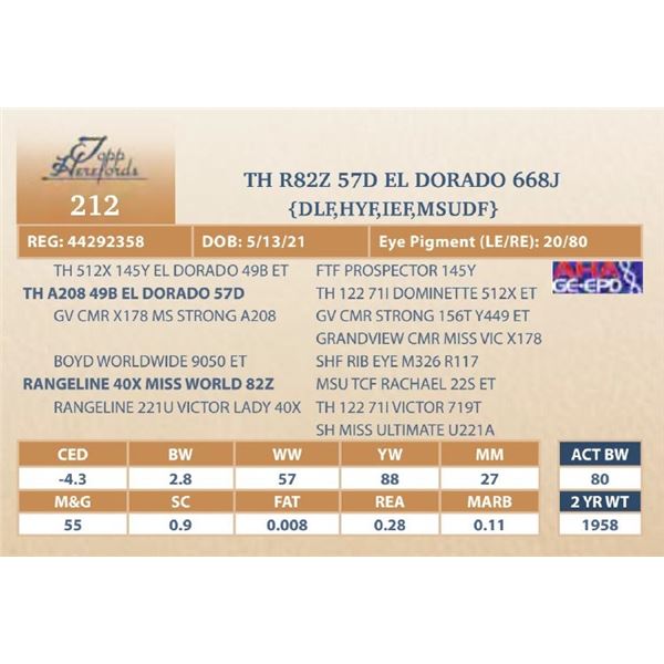 TH R82Z 57D EL DORADO 668J