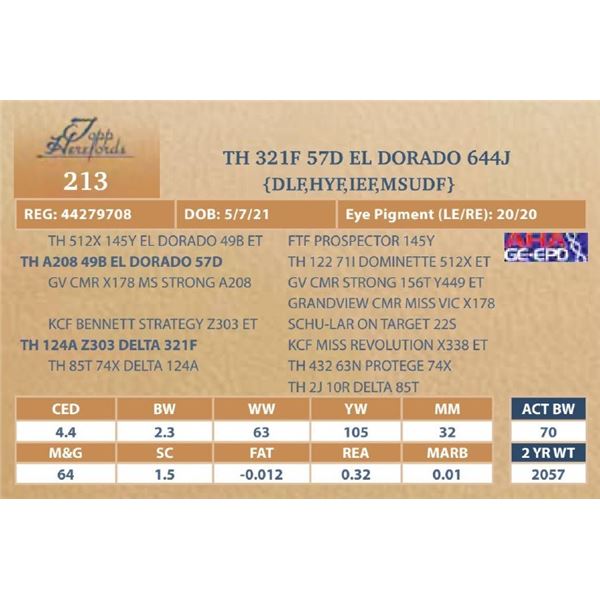 TH 321F 57D EL DORADO 644J