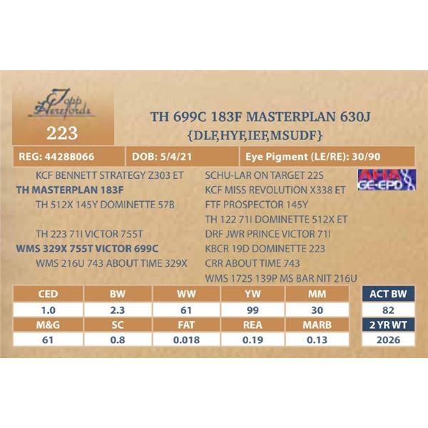 TH 699C 183F MASTERPLAN 630J