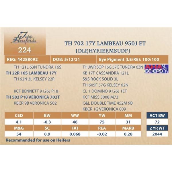 TH 702 17Y LAMBEAU 950J ET