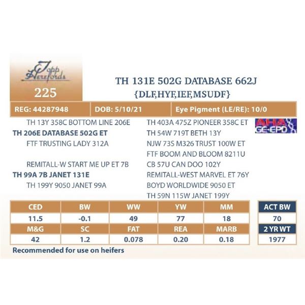 TH 131E 502G DATABASE 662J