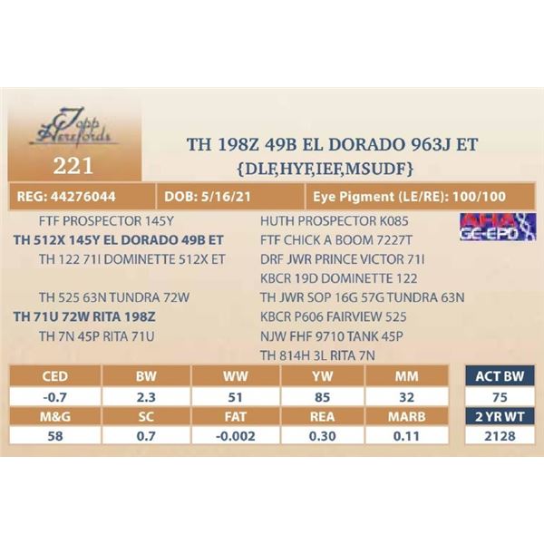 TH 198Z 49B EL DORADO 963J ET