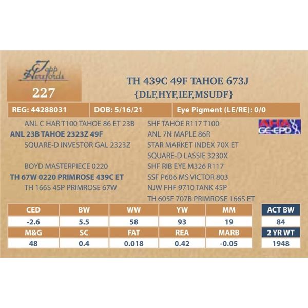 TH 439C 49F TAHOE 673J