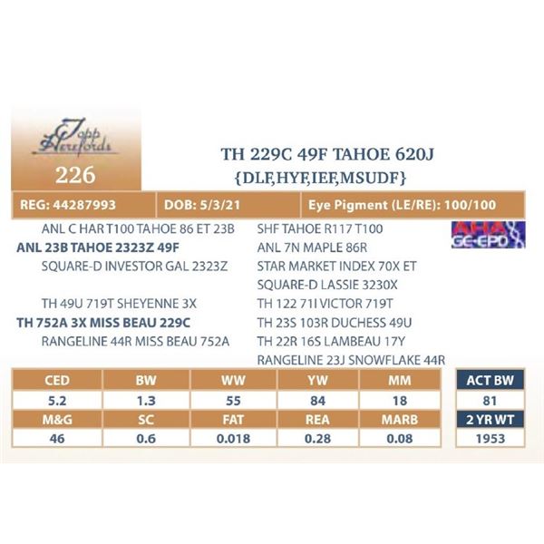 TH 229C 49F TAHOE 620J